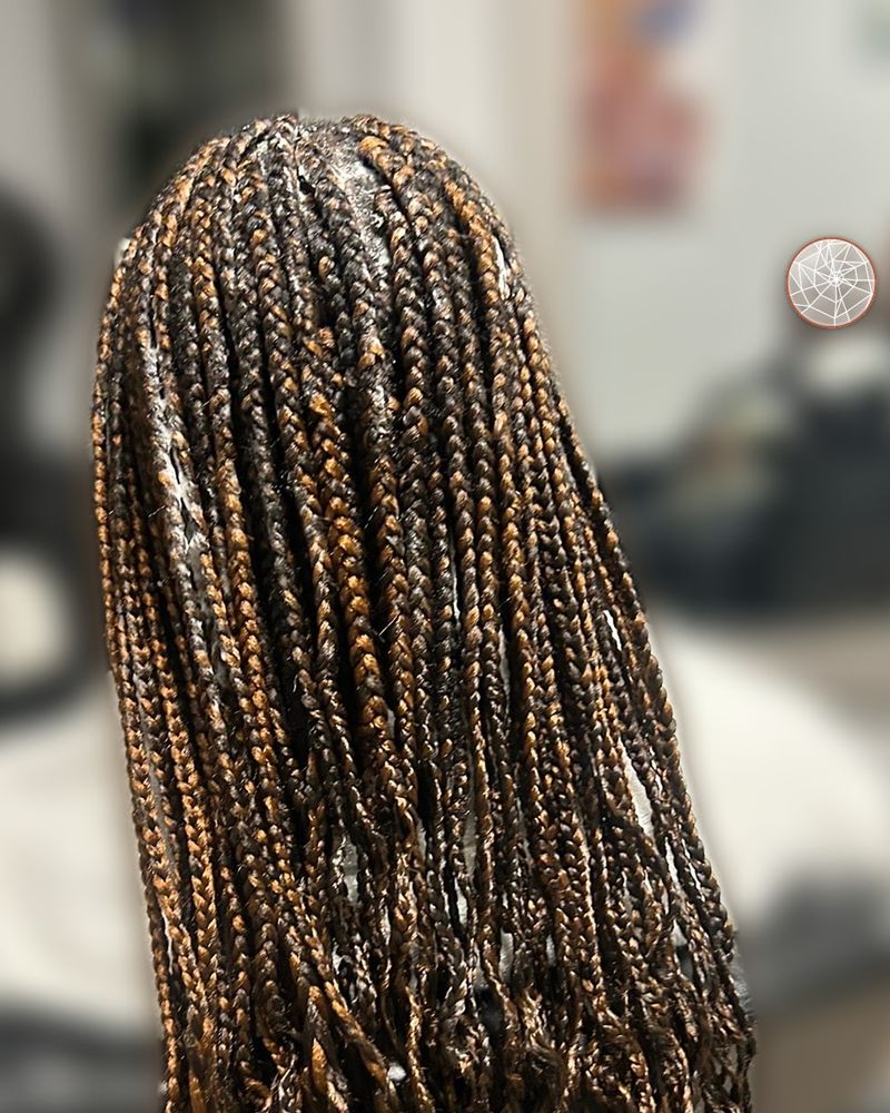 Boho knotless braids with honey highlights and curly ends, seen from behind